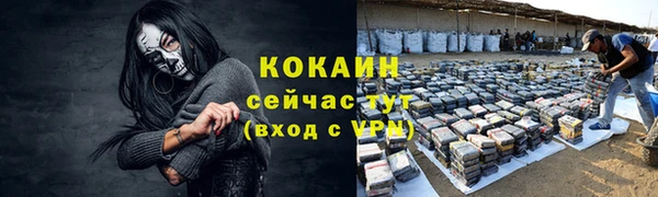 дживик Алзамай
