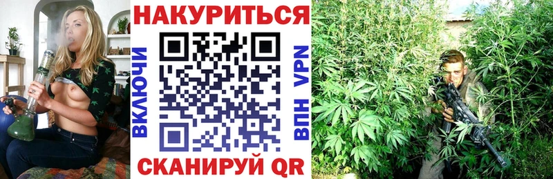 Конопля Bruce Banner Кирсанов